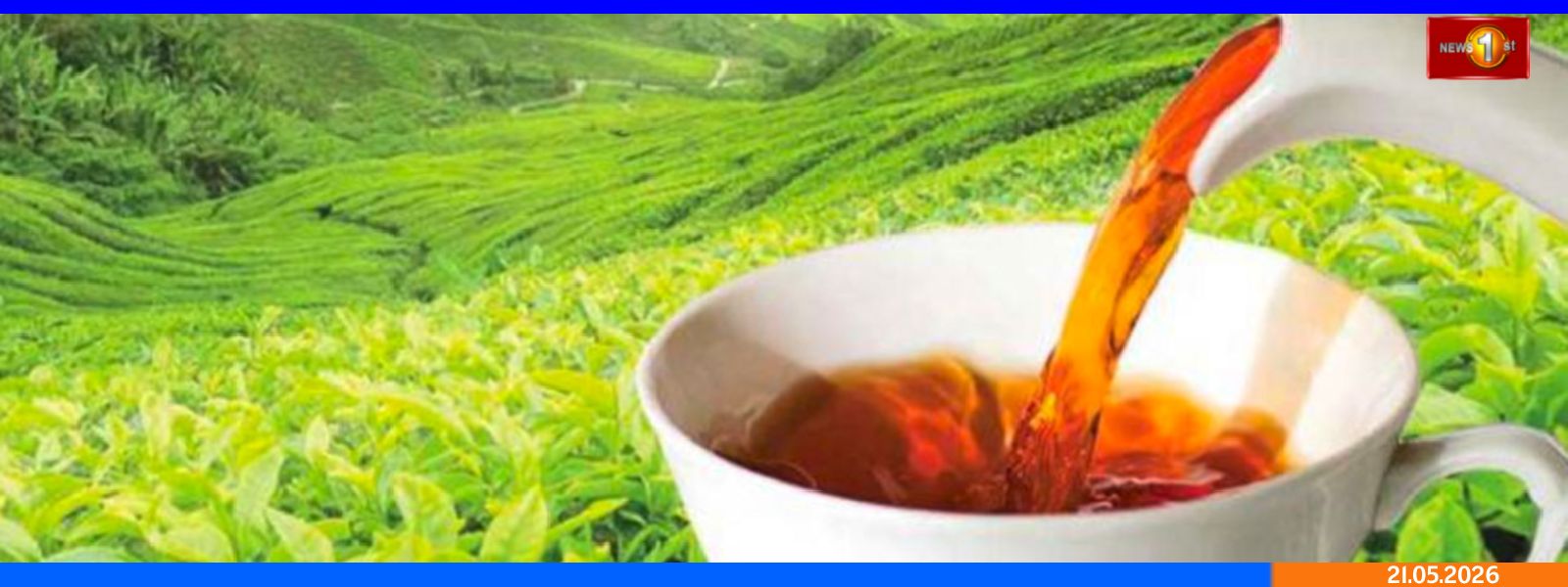 சர்வதேச தேயிலை தினம் இன்று